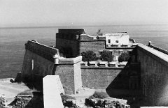 ORAN 02437